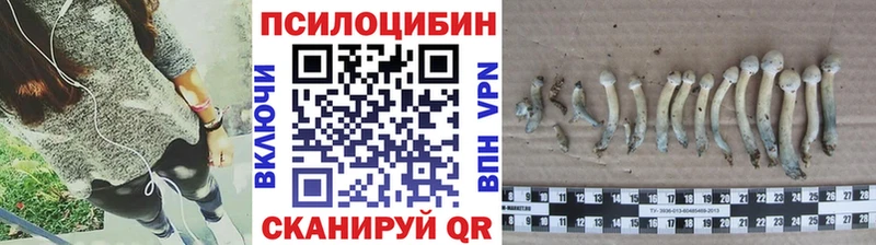 Галлюциногенные грибы ЛСД  Горбатов 