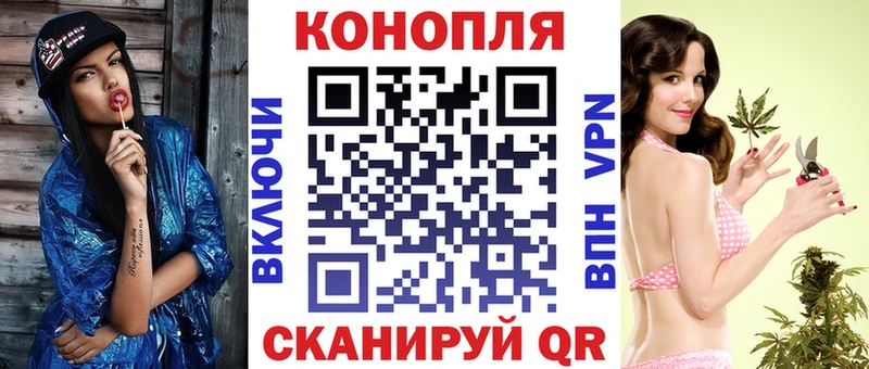 Конопля сатива  Горбатов 